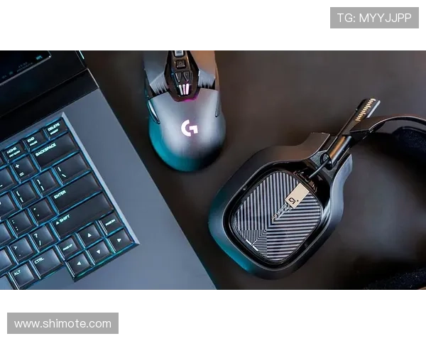 尊龙网址登录线路稳定性分析，提升游戏体验的关键保障措施